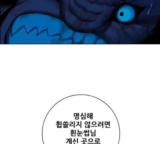 호랑이형님 2부 179화 대리자 代理者 히야 18