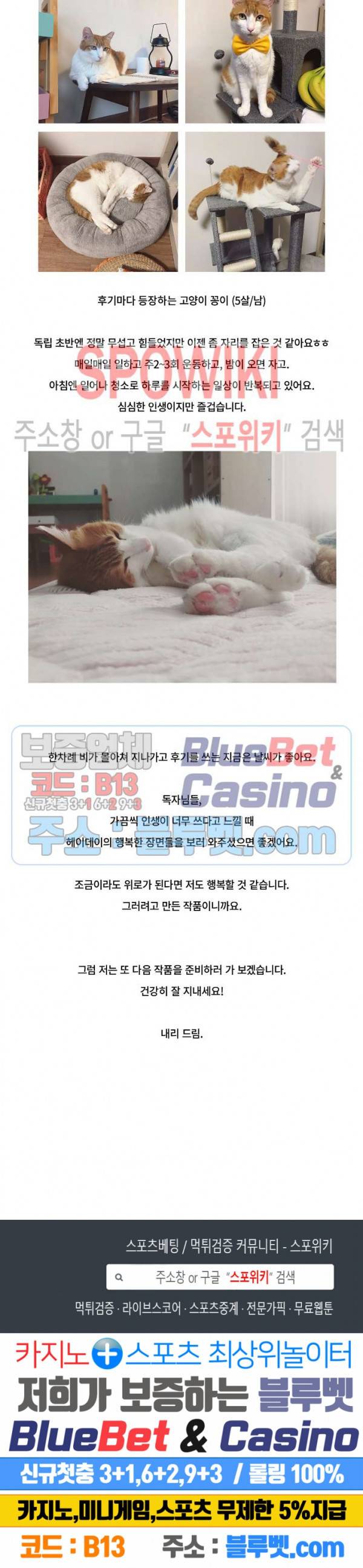 헤이데이! 에필로그 4