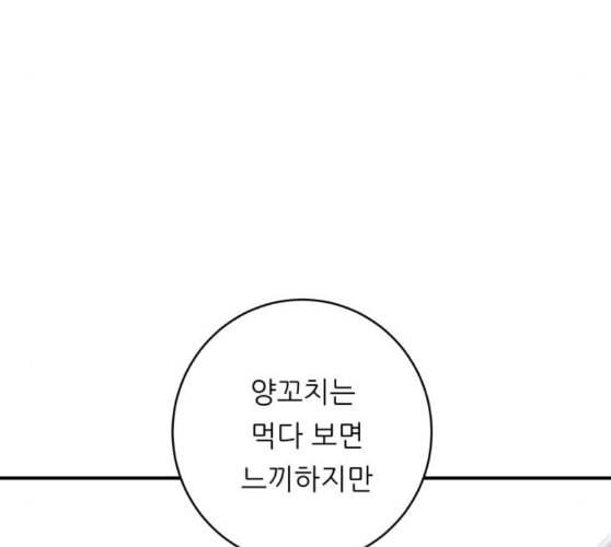 백수세끼 46 양꼬치 네이버 84
