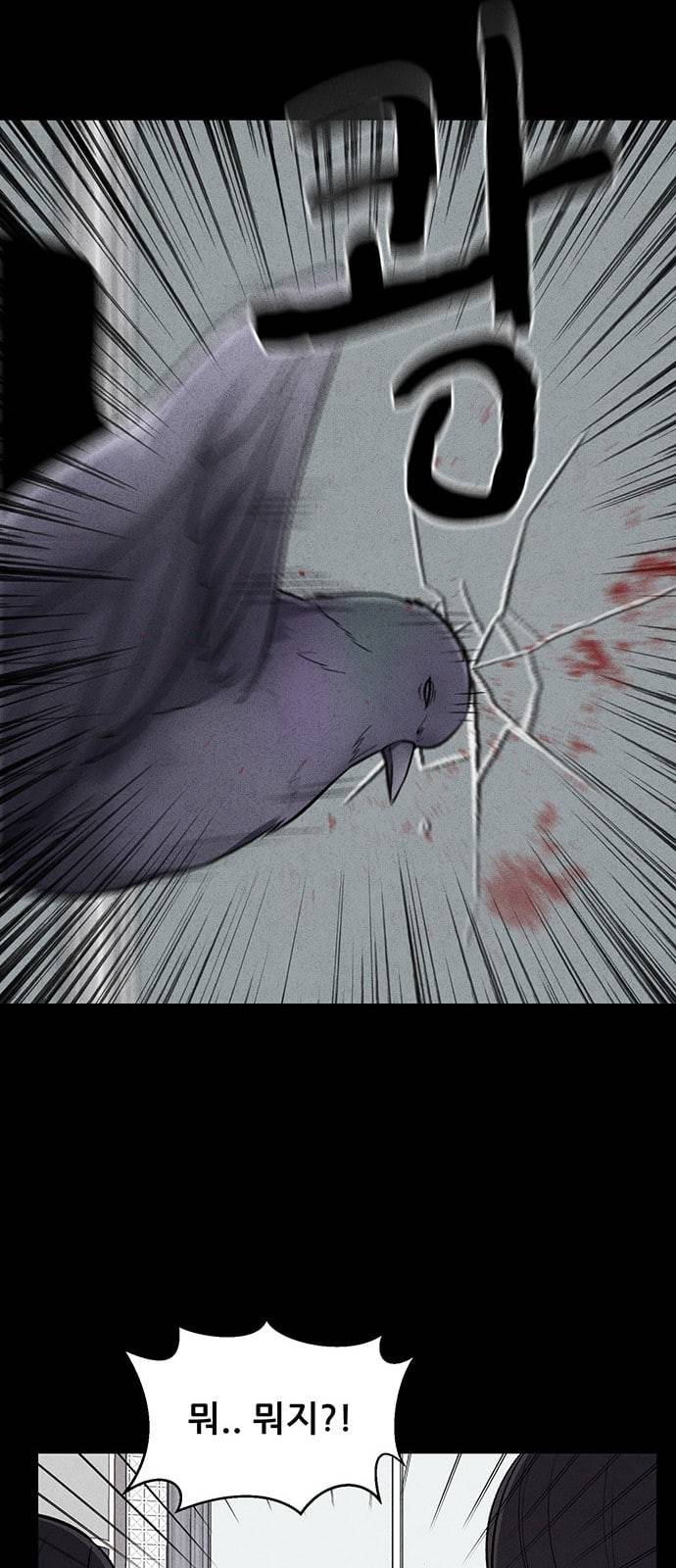 신상 미스터리 9화 62
