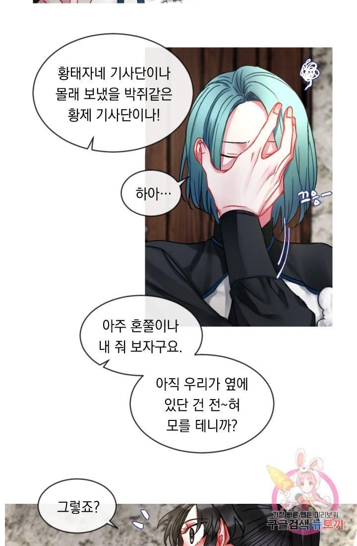 은의 공녀 까마귀 공녀 25화 축제 3 14