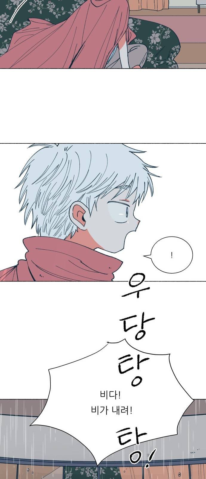 숲속의 담 29화 4