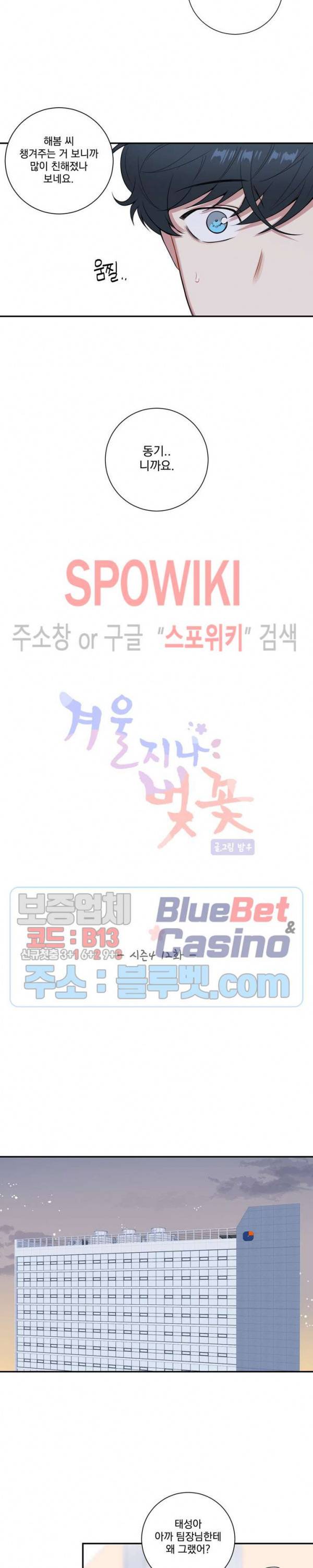 겨울 지나 벚꽃 시즌4 12화 4