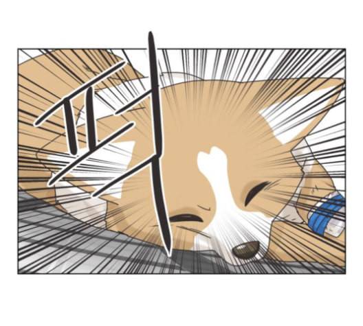 개를 낳았다 시즌2 13화 1
