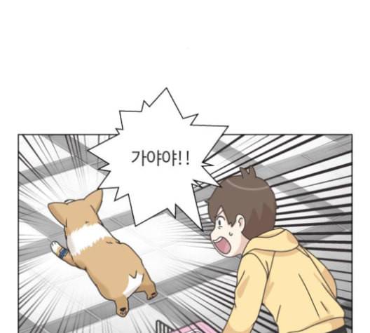 개를 낳았다 시즌2 13화 2