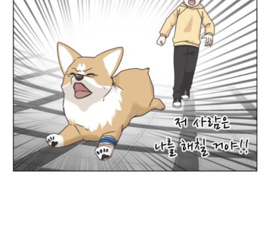 개를 낳았다 시즌2 13화 4
