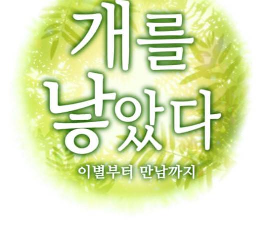 개를 낳았다 시즌2 13화 19