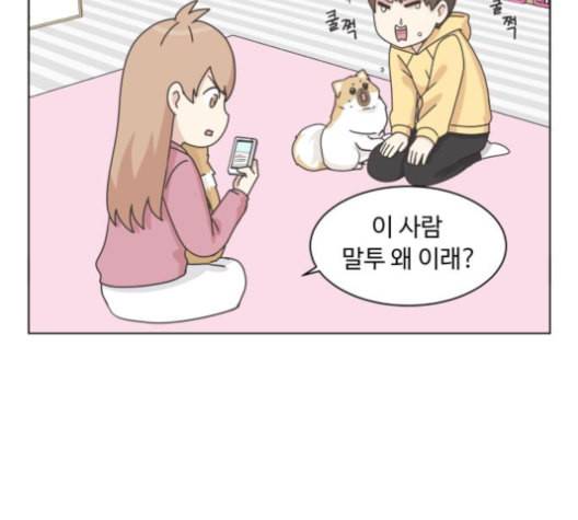 개를 낳았다 시즌2 13화 22