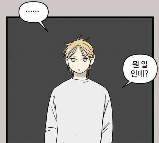 집이 없어 79화 강하라와 백은영 17 6