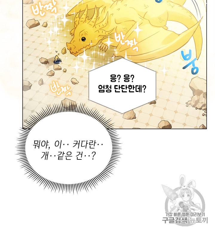 금발의 정령사 46화 49
