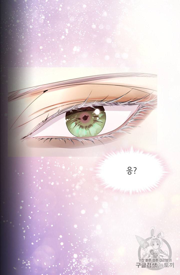 레이디 생존의 법칙 13화 12