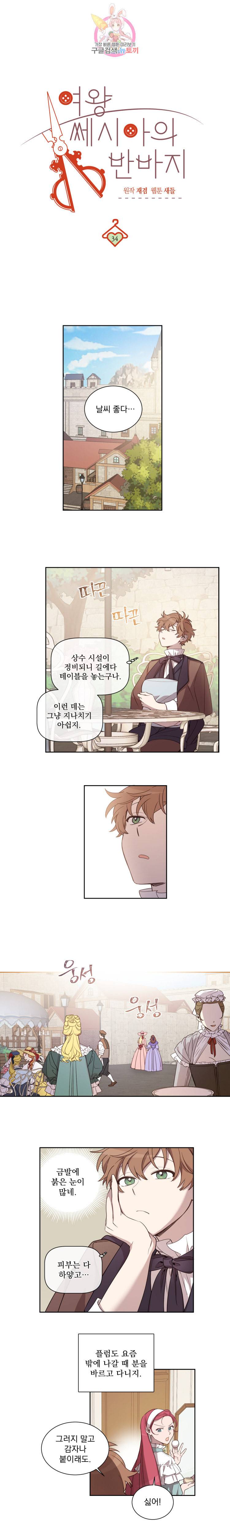 여왕 쎄시아의 반바지 34화 1
