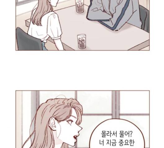 홍시는 날 좋아해! 131화 3