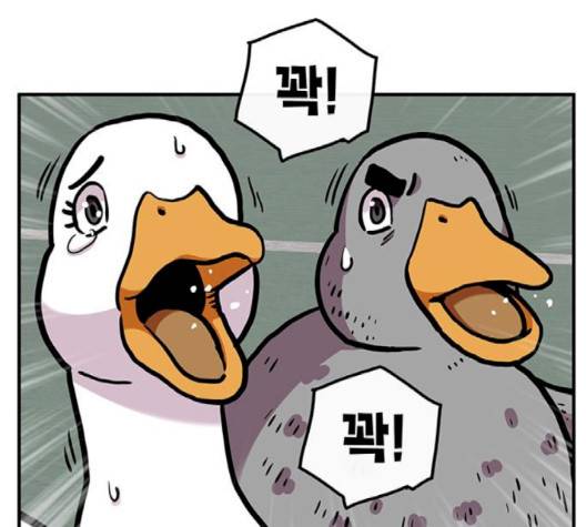 만물의 영장 63화 152