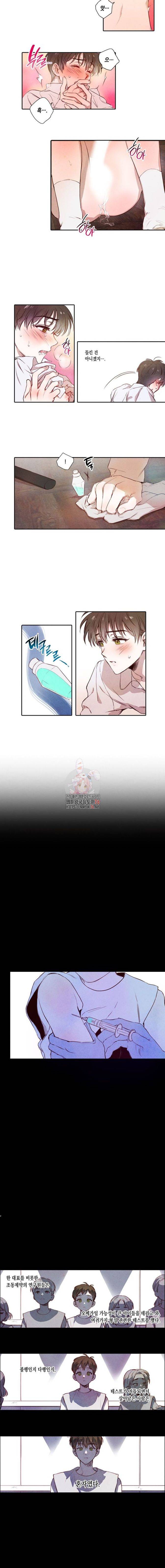 버드나무 로맨스 2화 2