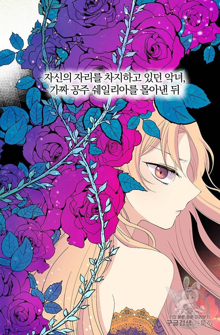 기간한정 공주님 프롤로그 4