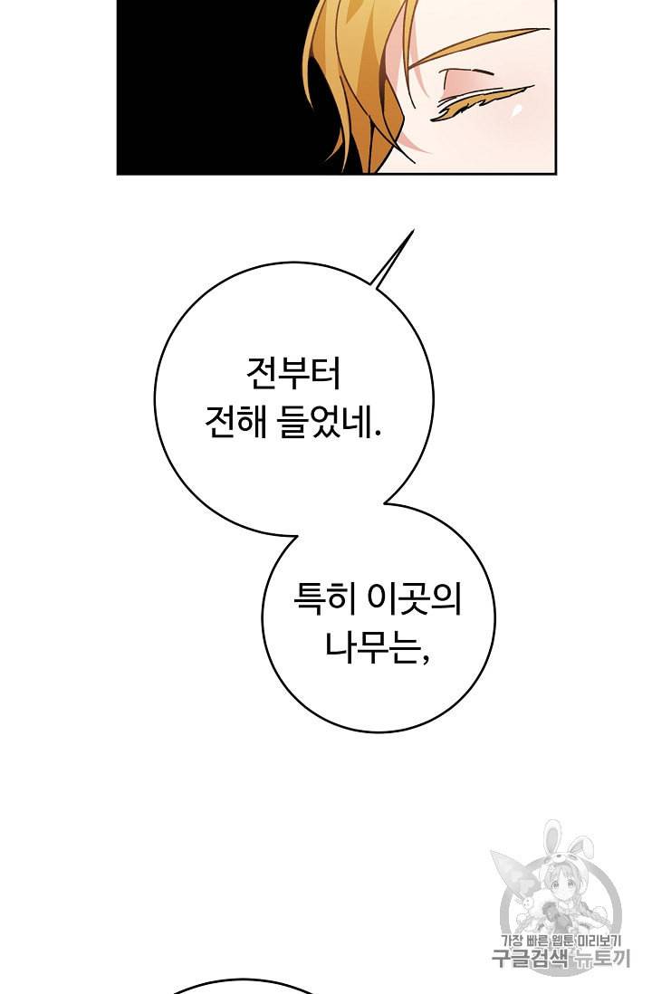 소설 속 악녀 황제가 되었다 28화 31