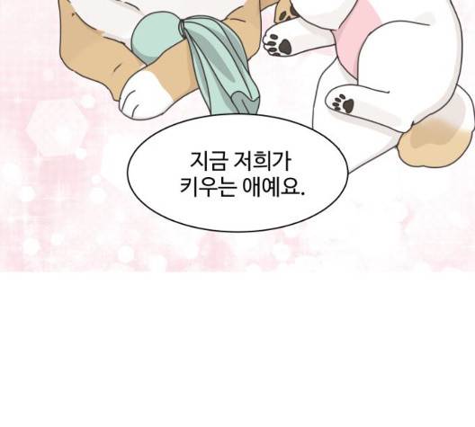 개를 낳았다 시즌2 27화 4