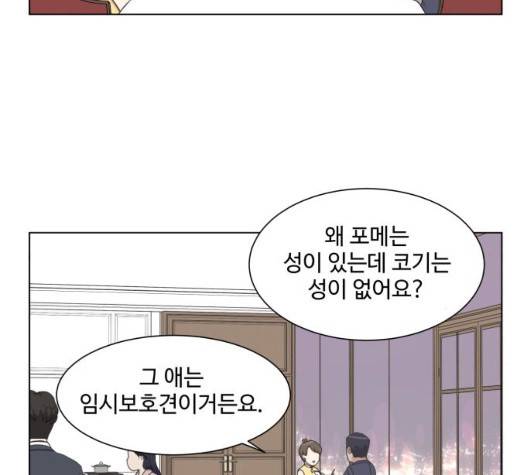 개를 낳았다 시즌2 27화 6
