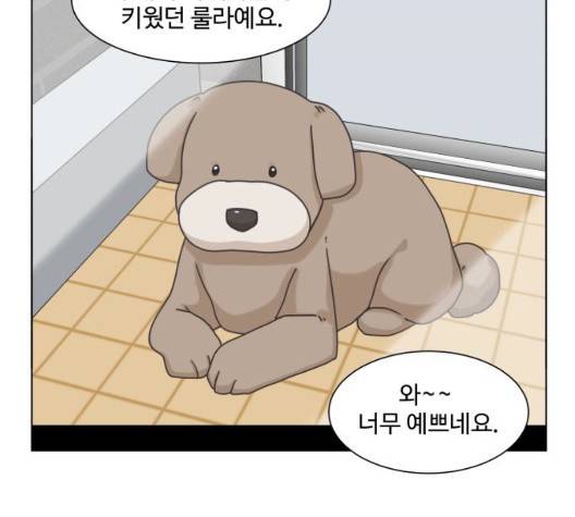 개를 낳았다 시즌2 27화 13