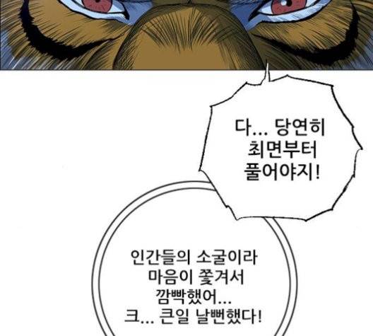 호랑이형님 204화 13