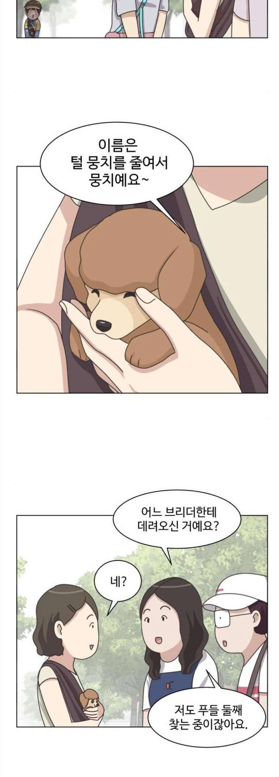 개를 낳았다 시즌2 35화 3