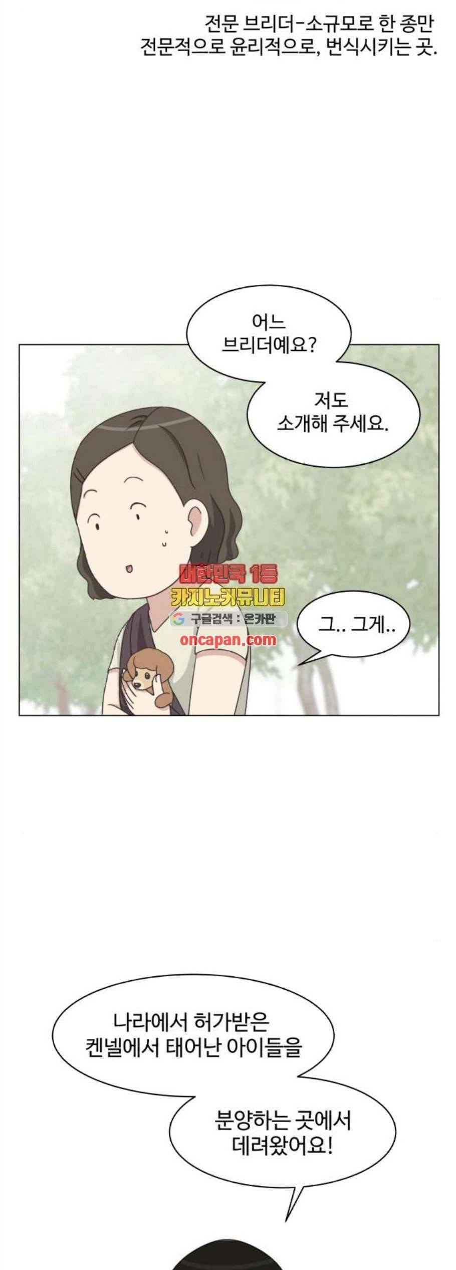 개를 낳았다 시즌2 35화 5