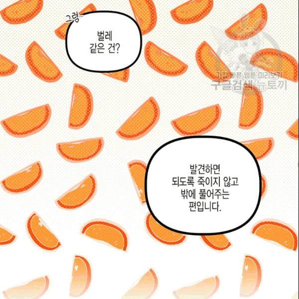 다행인지 불행인지 27화 59