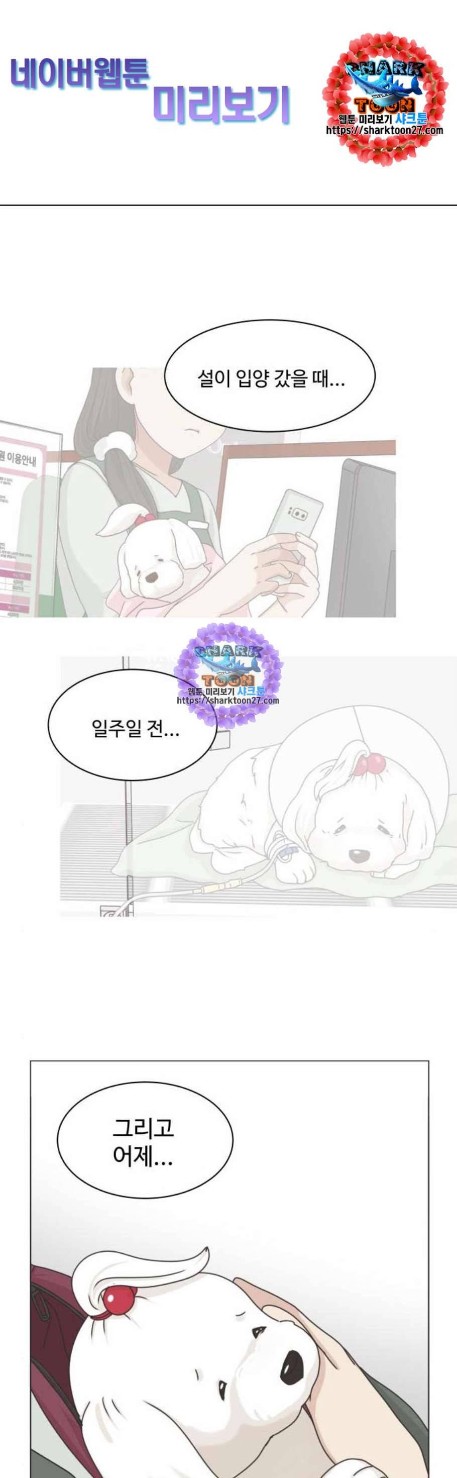 개를 낳았다 시즌2 36화 1