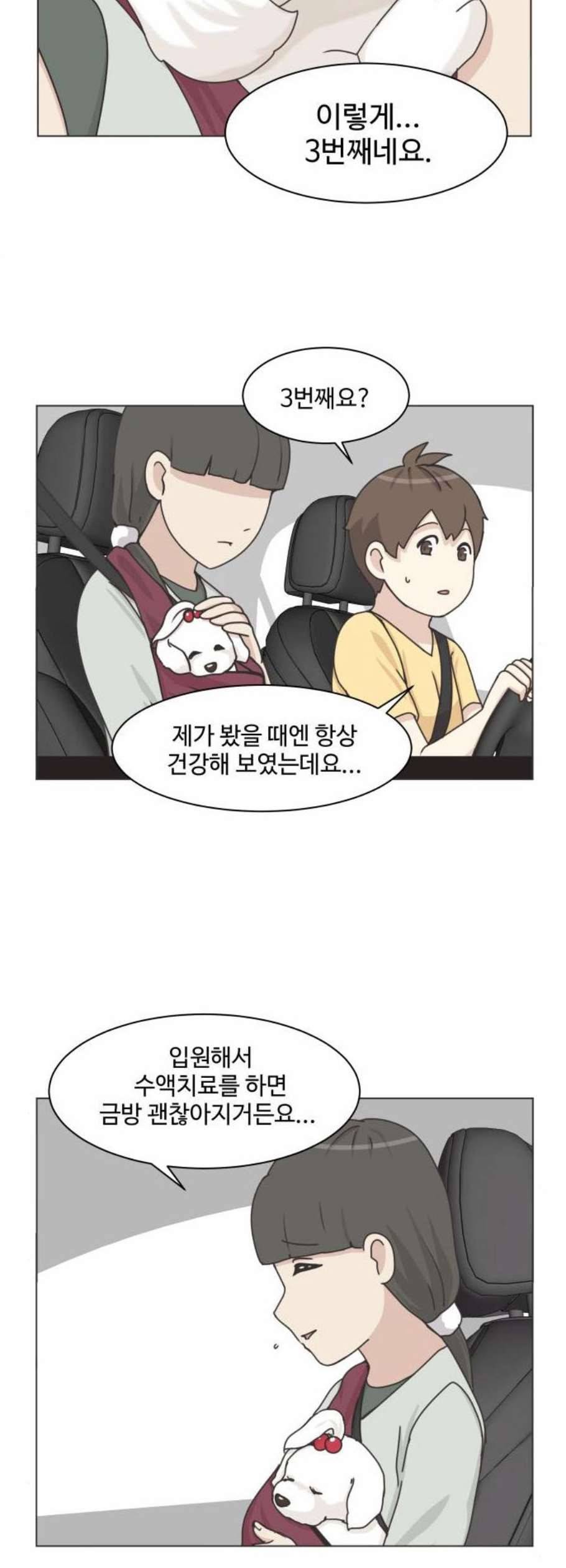 개를 낳았다 시즌2 36화 2