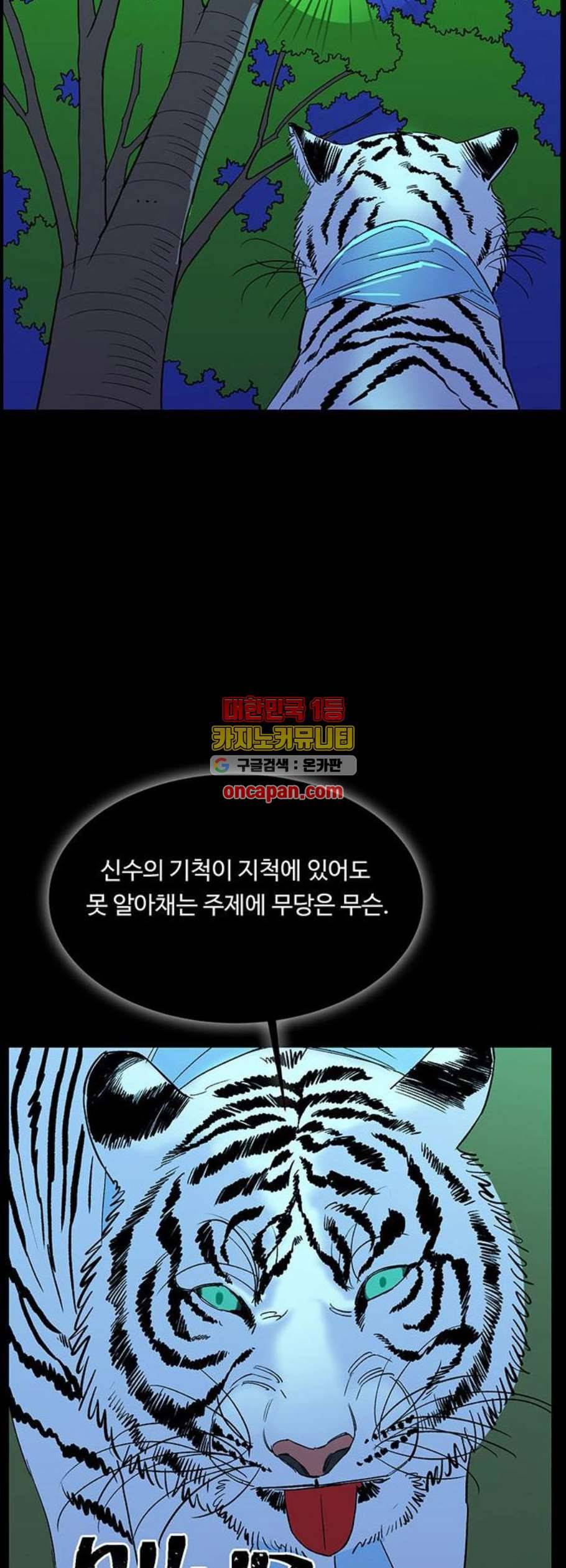 백호랑 39화 45