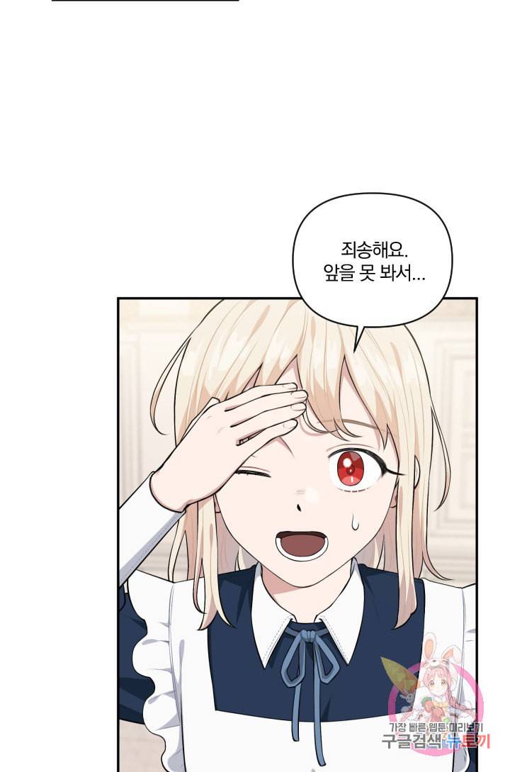 TL 소설 속 시녀가 되었습니다 37화 70