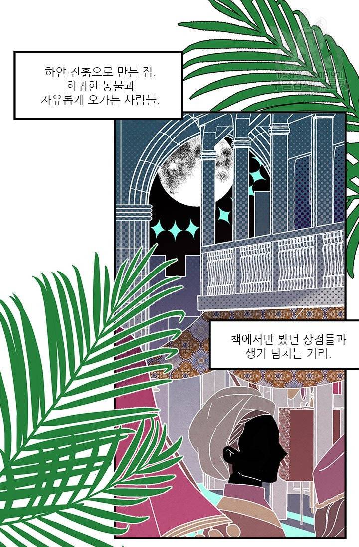 술탄의 꽃 13화 12