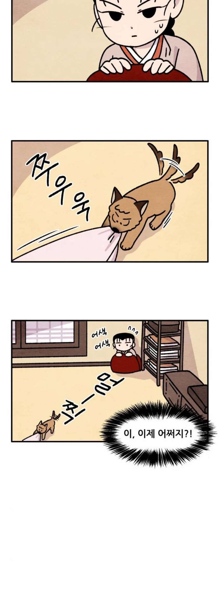 범이올시다 41화 11