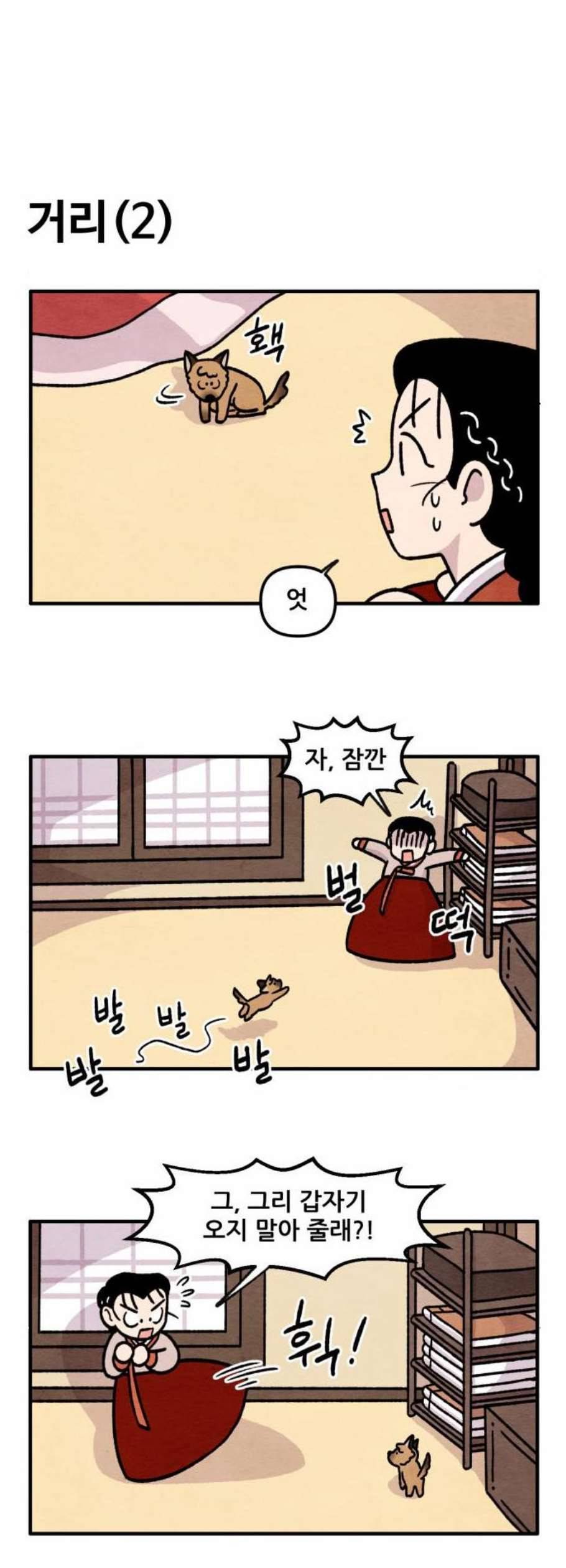 범이올시다 41화 12