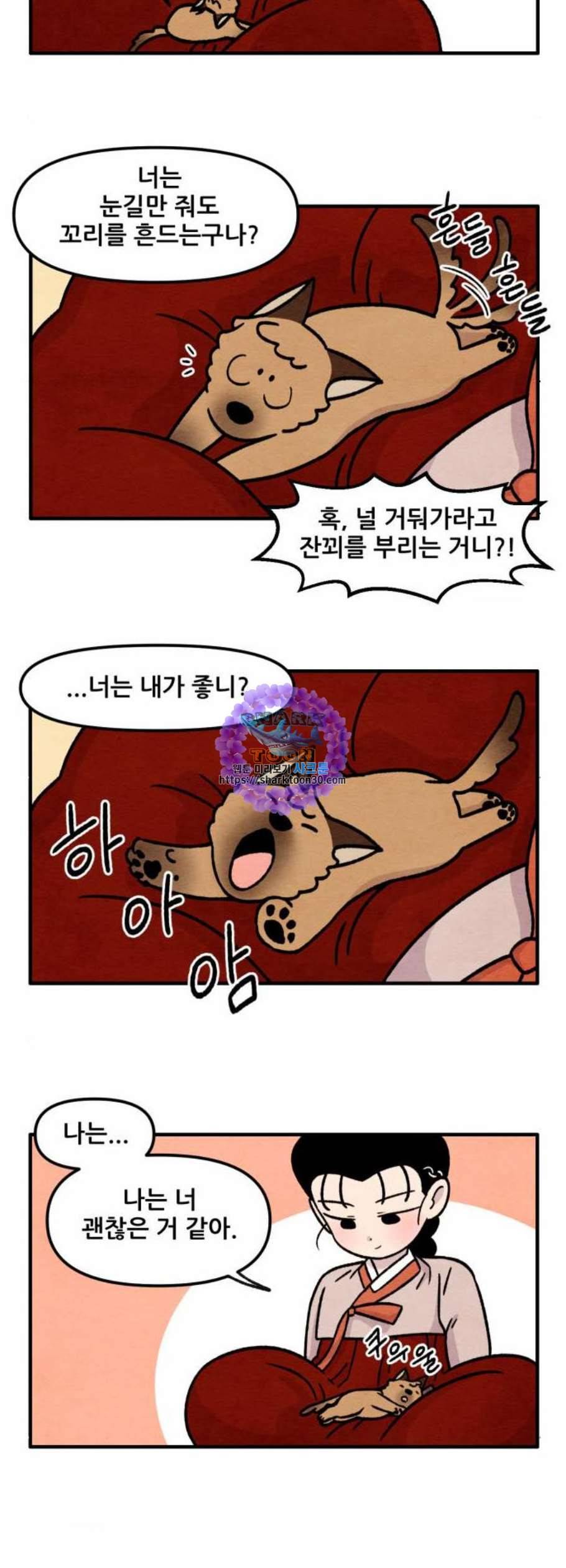 범이올시다 41화 17