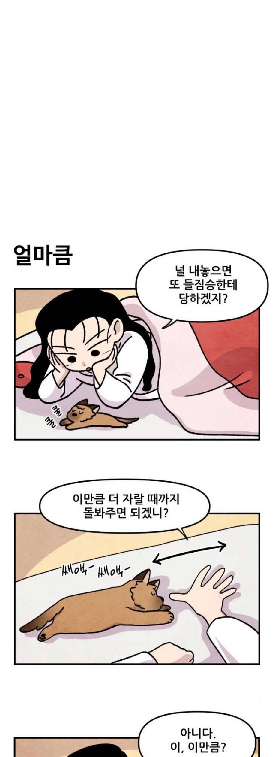 범이올시다 41화 18