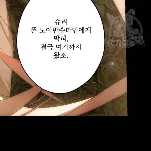 어떤 계모님의 메르헨 59화 13