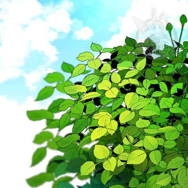 요리사가 축복을 숨김 50화 6