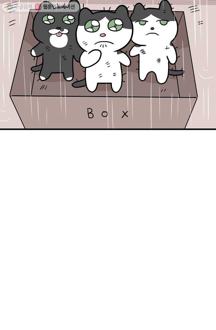 넘 많은 고양! 005화 3