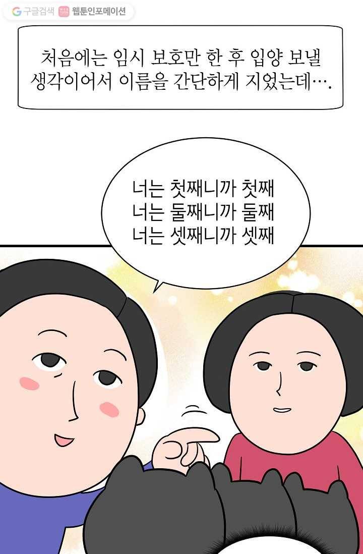 넘 많은 고양! 005화 4