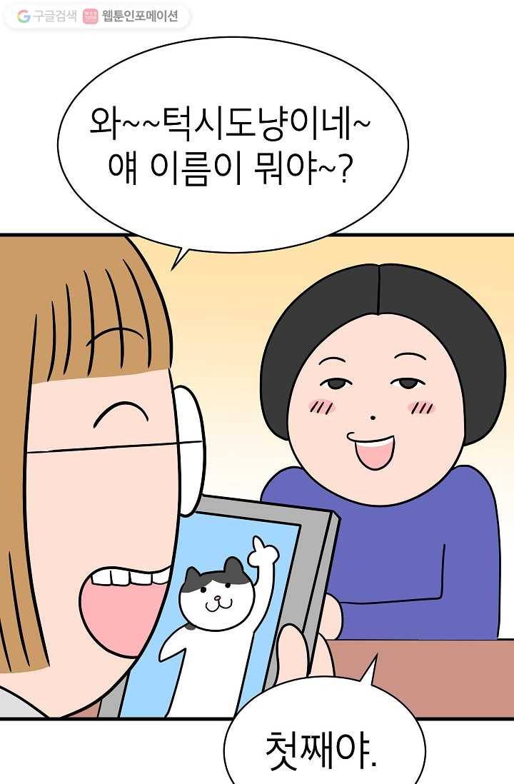 넘 많은 고양! 005화 8