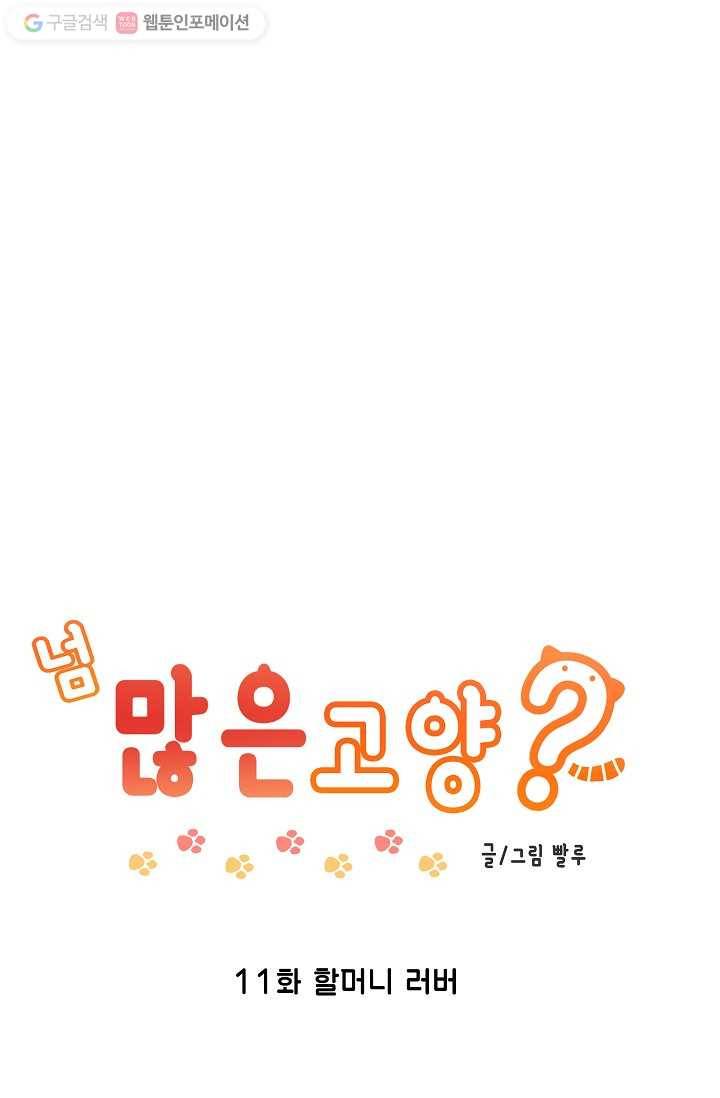 넘 많은 고양! 012화 1