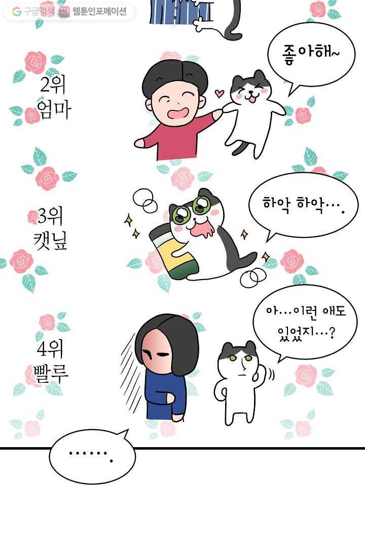 넘 많은 고양! 012화 3
