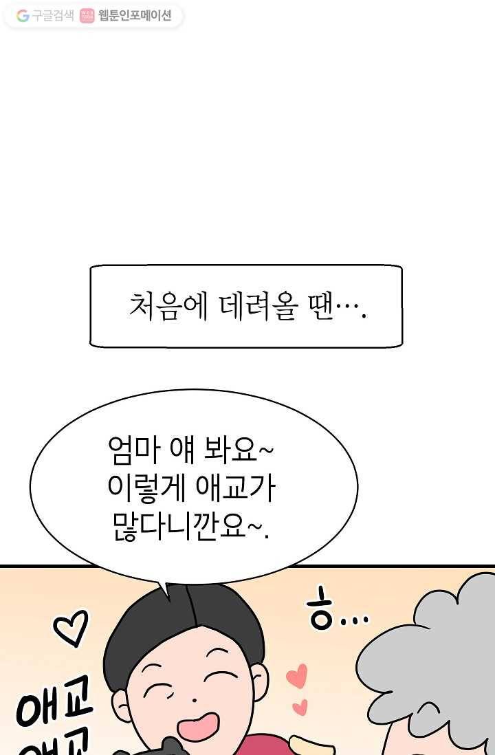 넘 많은 고양! 012화 4