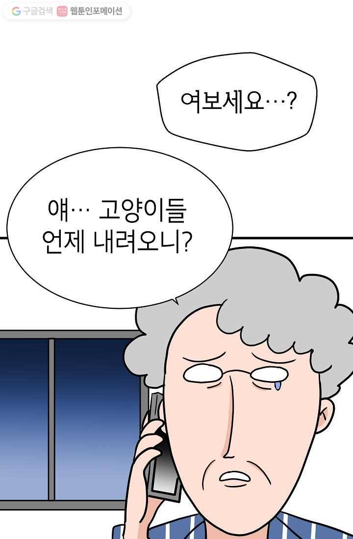 넘 많은 고양! 012화 11