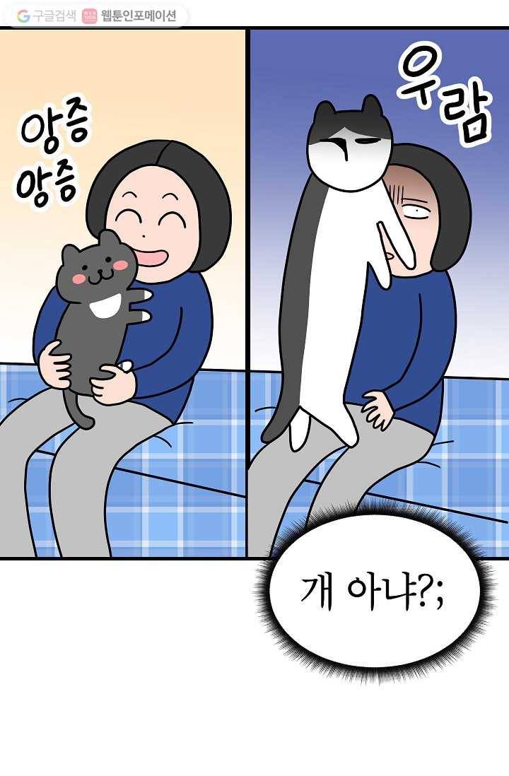 넘 많은 고양! 016화 5
