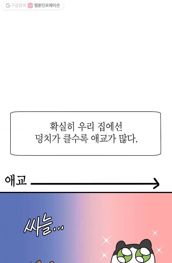 넘 많은 고양! 016화 9