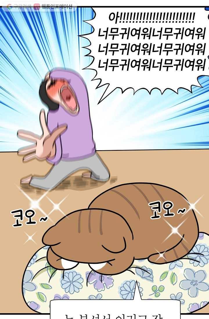 넘 많은 고양! 020화 3