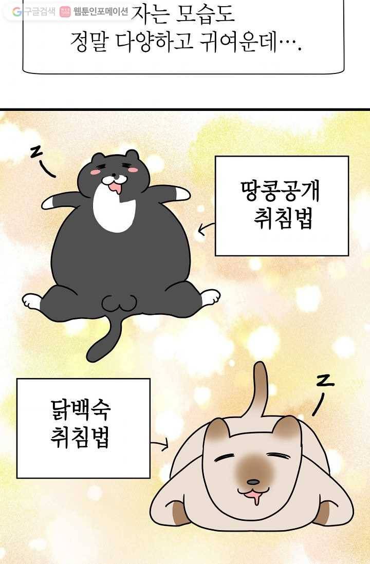 넘 많은 고양! 020화 9